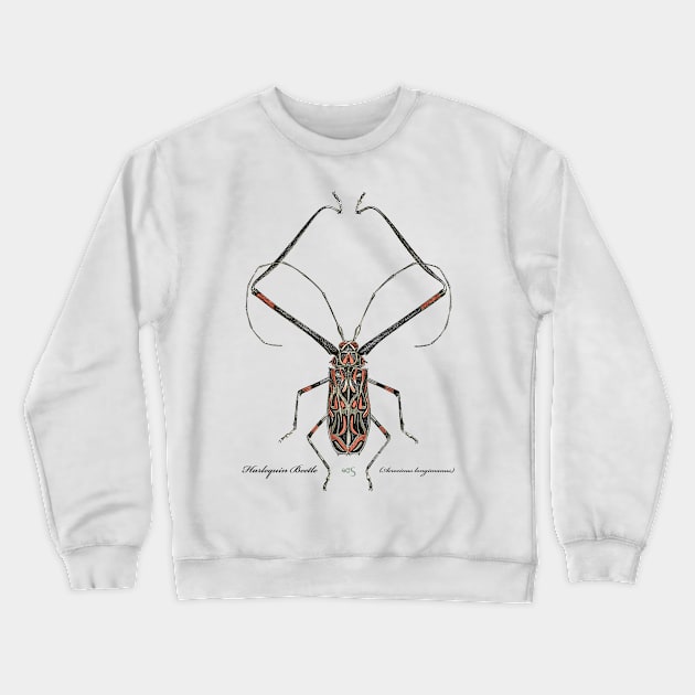 Harlequin Beetle - 2 Crewneck Sweatshirt by 40degreesSouth